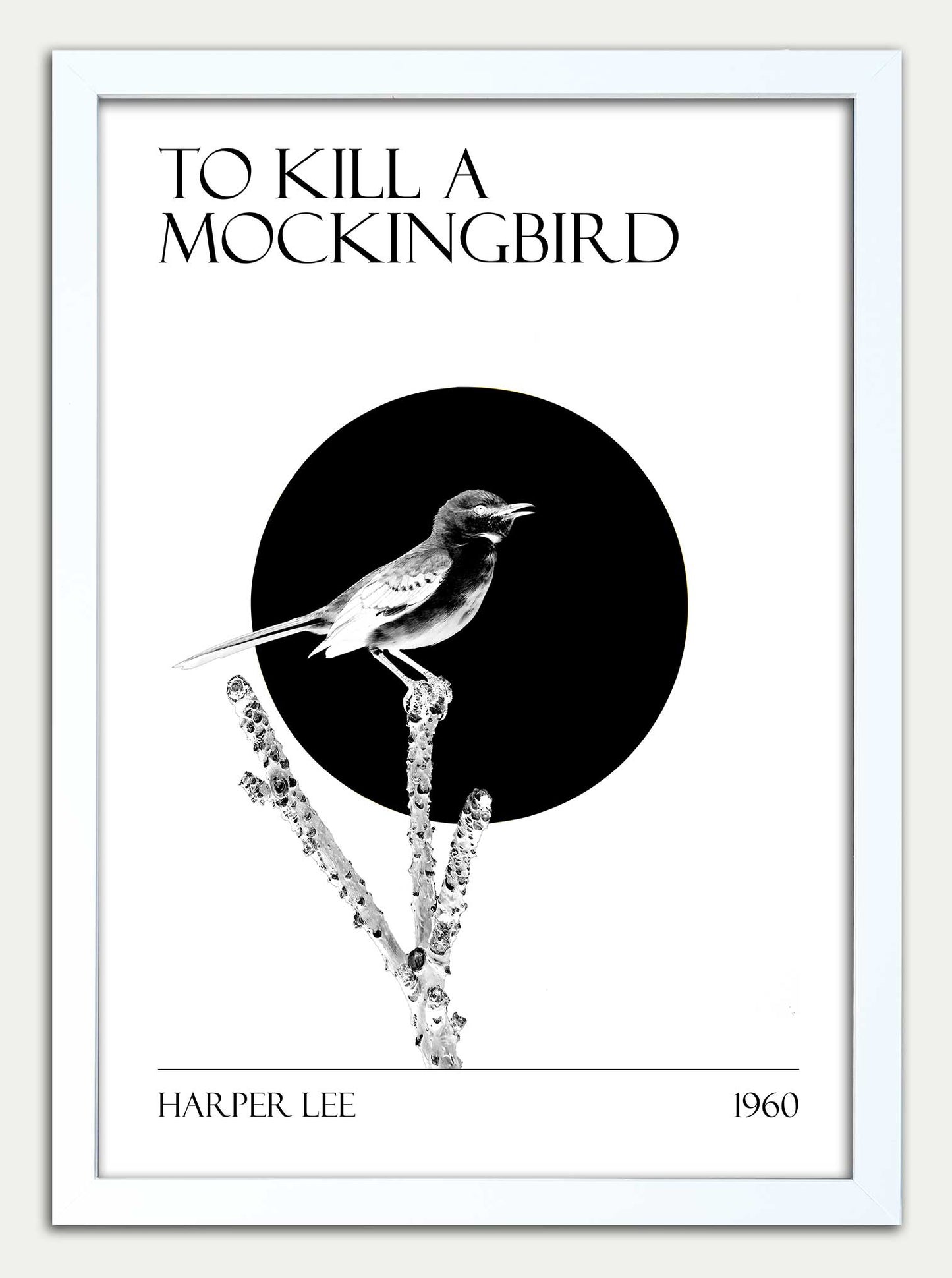 To Kill a Mockingbird "Black and White"