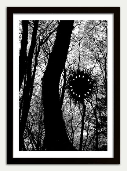 Lord of the Rings "The Old Forest"