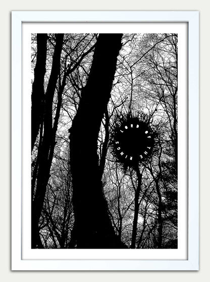 Lord of the Rings "The Old Forest"
