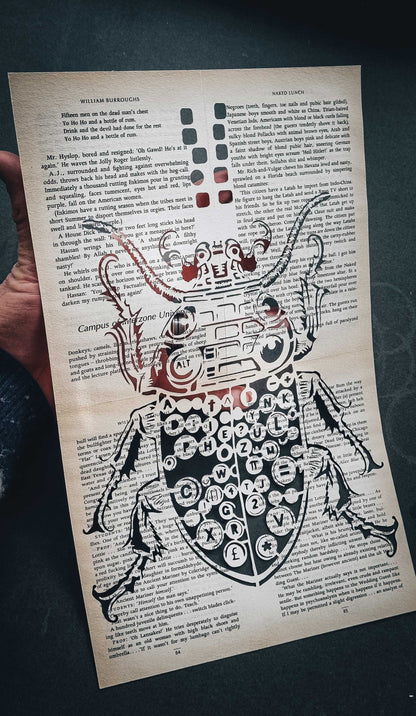 "Bug Powder Dust"
