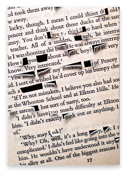 Catcher in the Rye Feel Something Beautiful