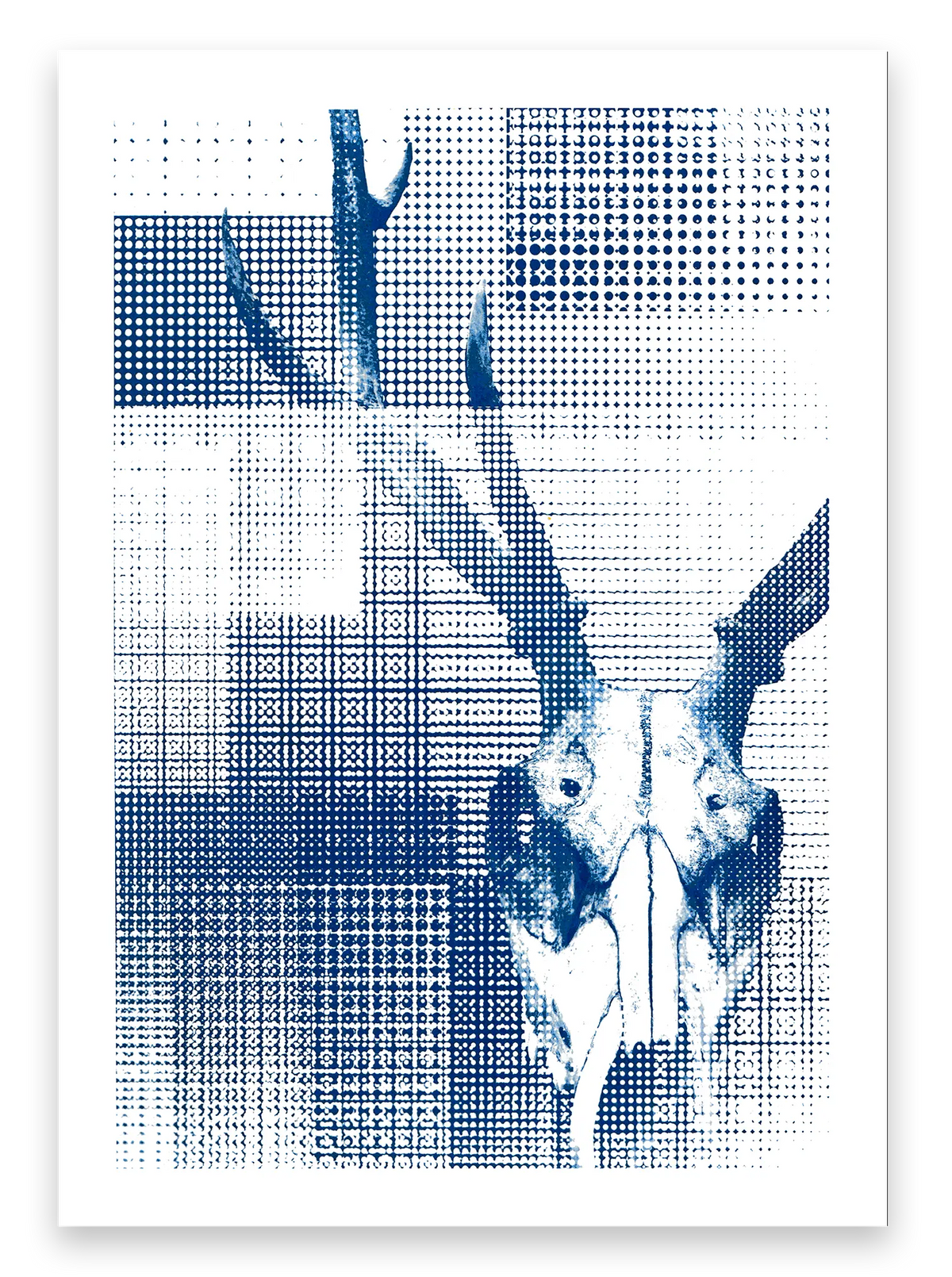 DEER// "Cyanotype Afterlife"