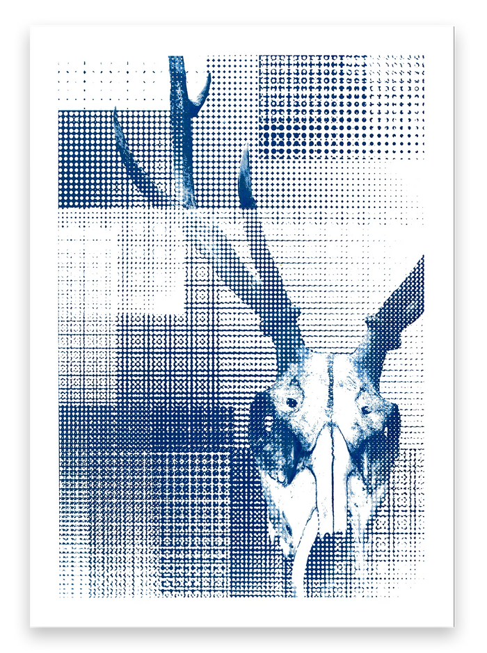 DEER// "Cyanotype Afterlife"