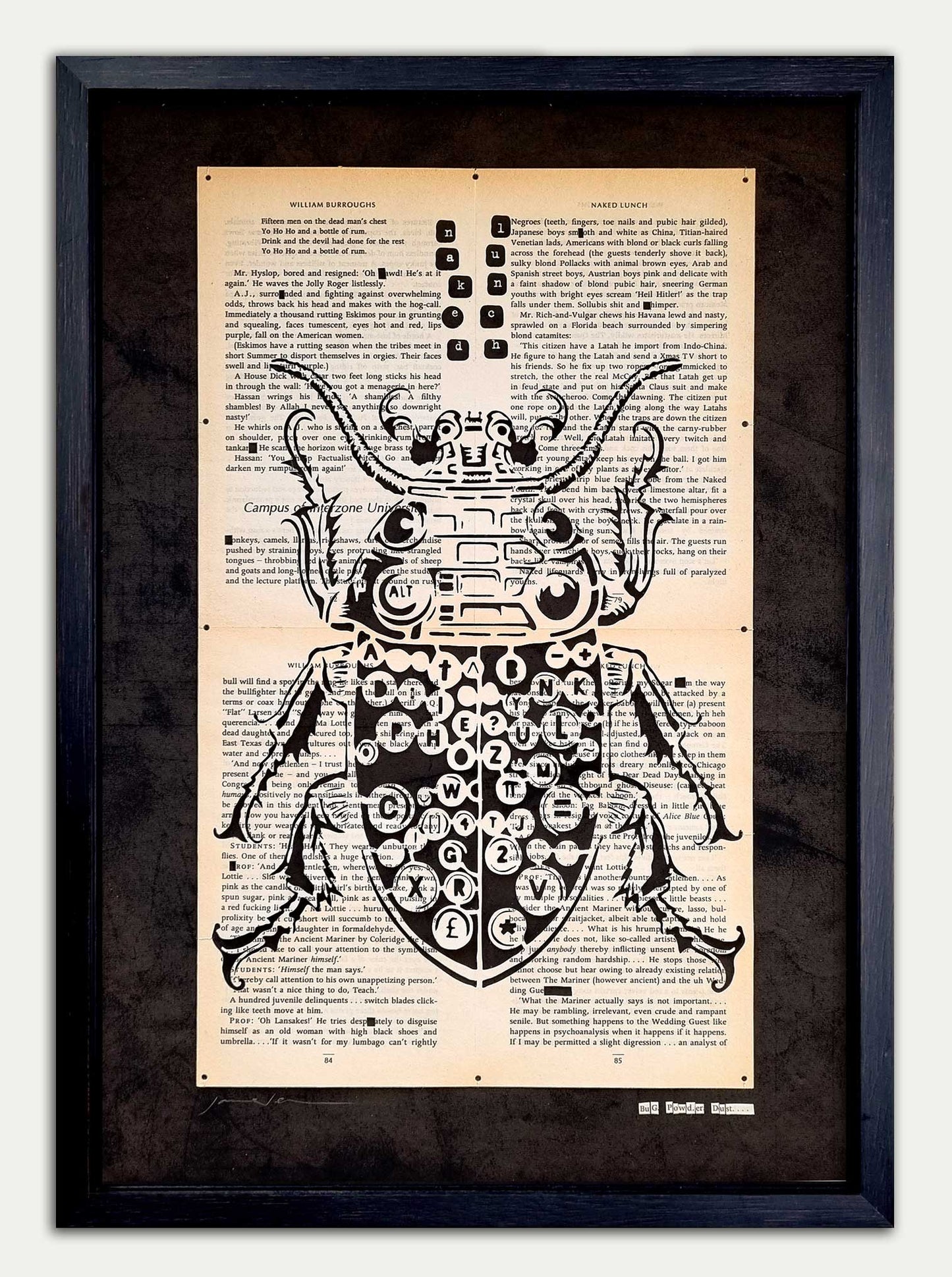 "Bug Powder Dust"