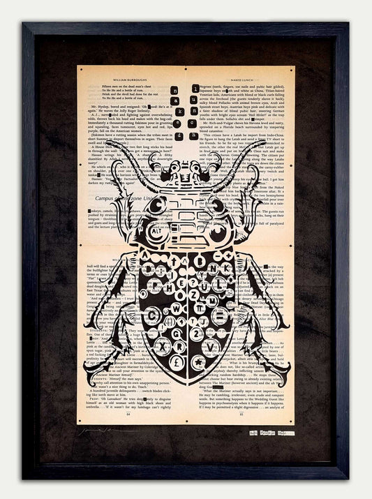 "Bug Powder Dust"