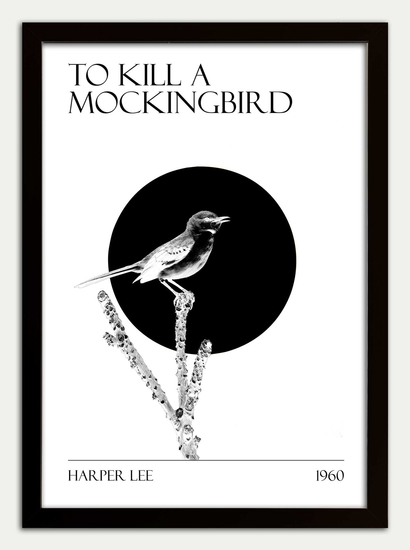 To Kill a Mockingbird "Black and White"