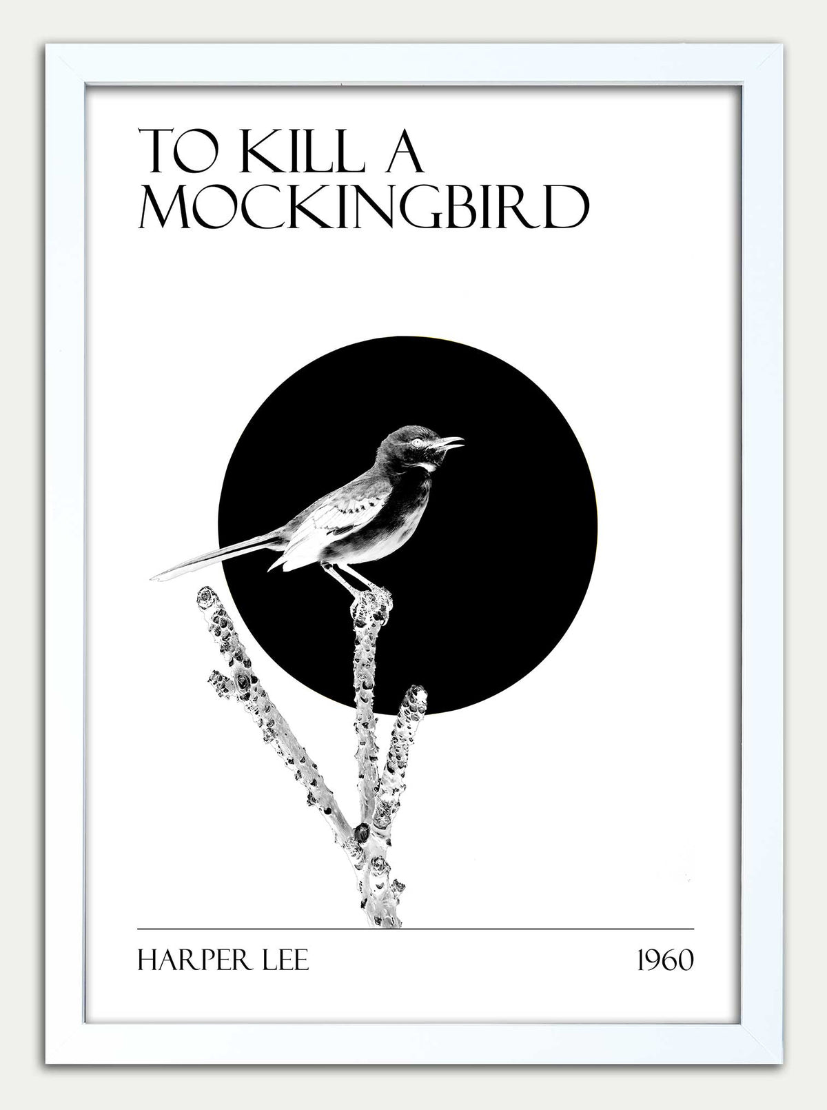 To Kill a Mockingbird "Black and White"