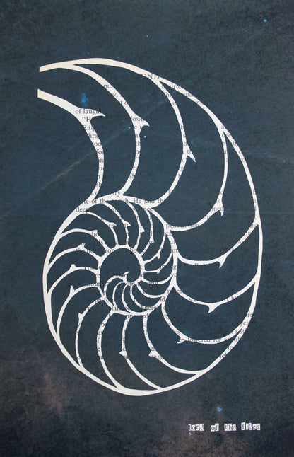 Lord of the Flies "Conch 18"  | Double Paper Cut | Limited Edition 1 of 1