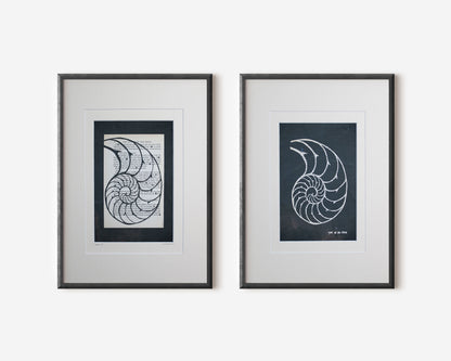 Lord of the Flies "Conch 18"  | Double Paper Cut | Limited Edition 1 of 1
